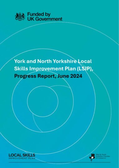 DFE-APPROVED-York-and-North-Yorkshire-LSIP-Annual-Report-EDIT_Page_01-1-382x540