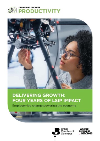 Delivering-Growth-Four-Years-of-LSIPs-Impact-v2-1_Page_01-382x540