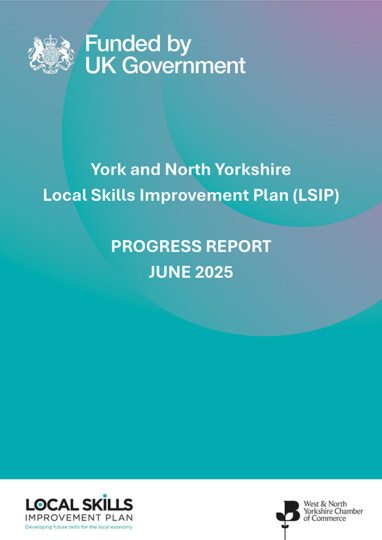 WNY-LSIP-Cover-382x540