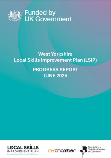 WY-LSIP-Cover-382x540